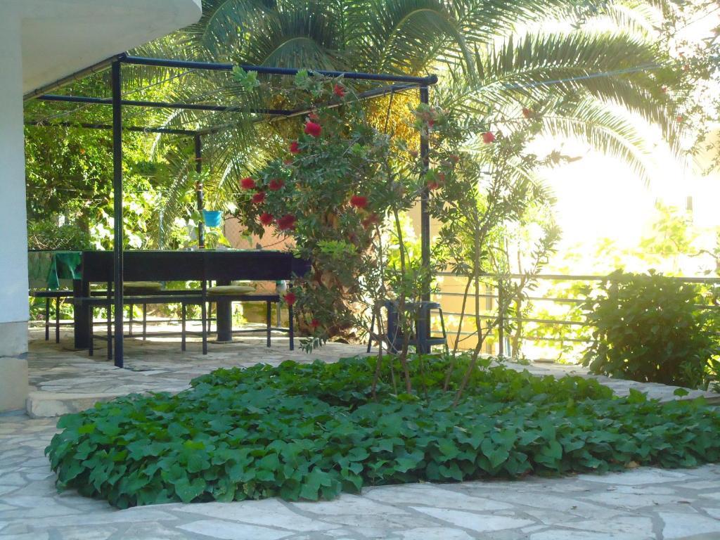 Apartments Villa Petranovic 布德瓦 外观 照片