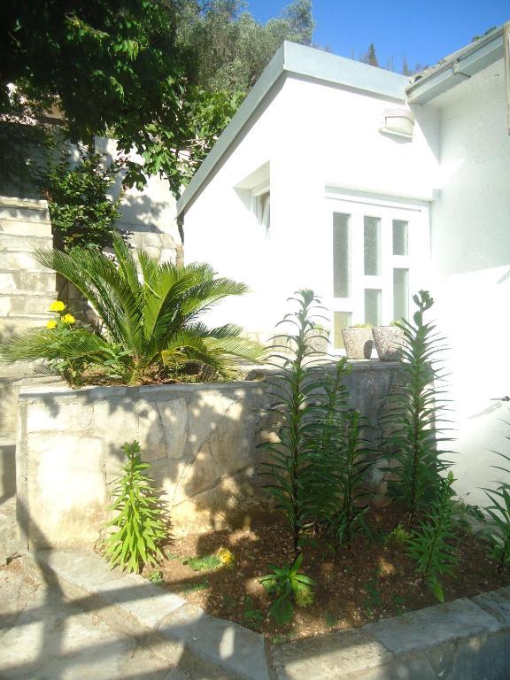 Apartments Villa Petranovic 布德瓦 客房 照片