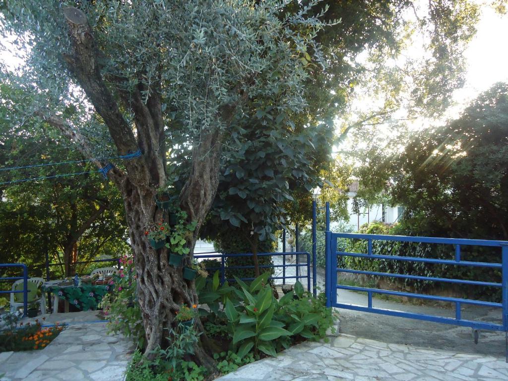 Apartments Villa Petranovic 布德瓦 外观 照片