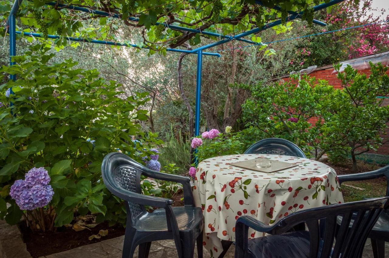 Apartments Villa Petranovic 布德瓦 外观 照片